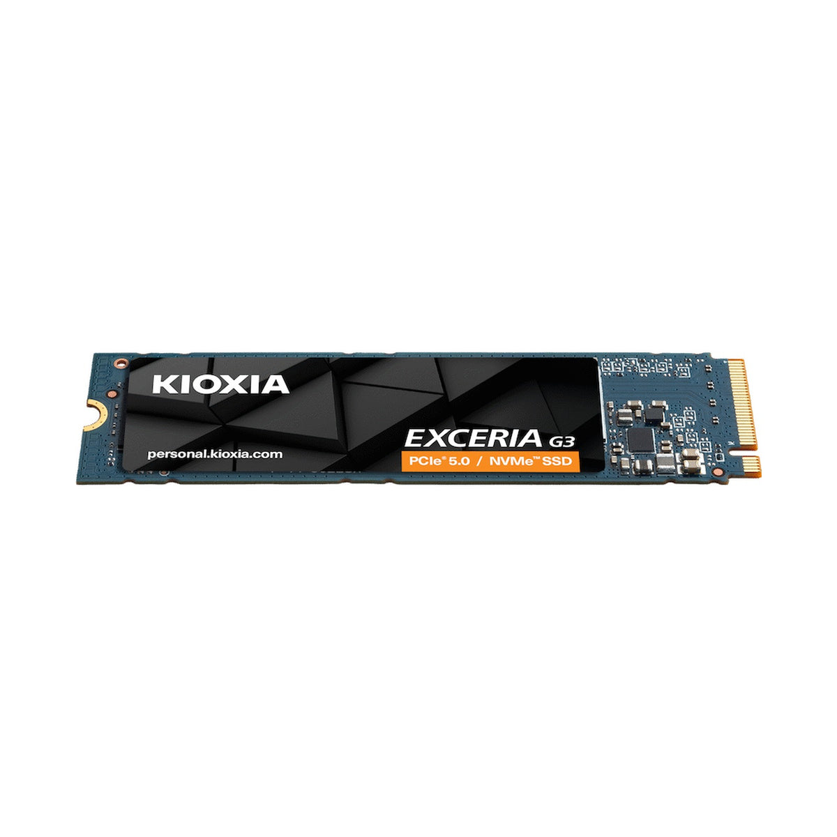 KIOXIA EXCERIA G3 NVMe Series/PCIE 5/M.2 2280 1000GB (10,000/8,900) / 1.3M
