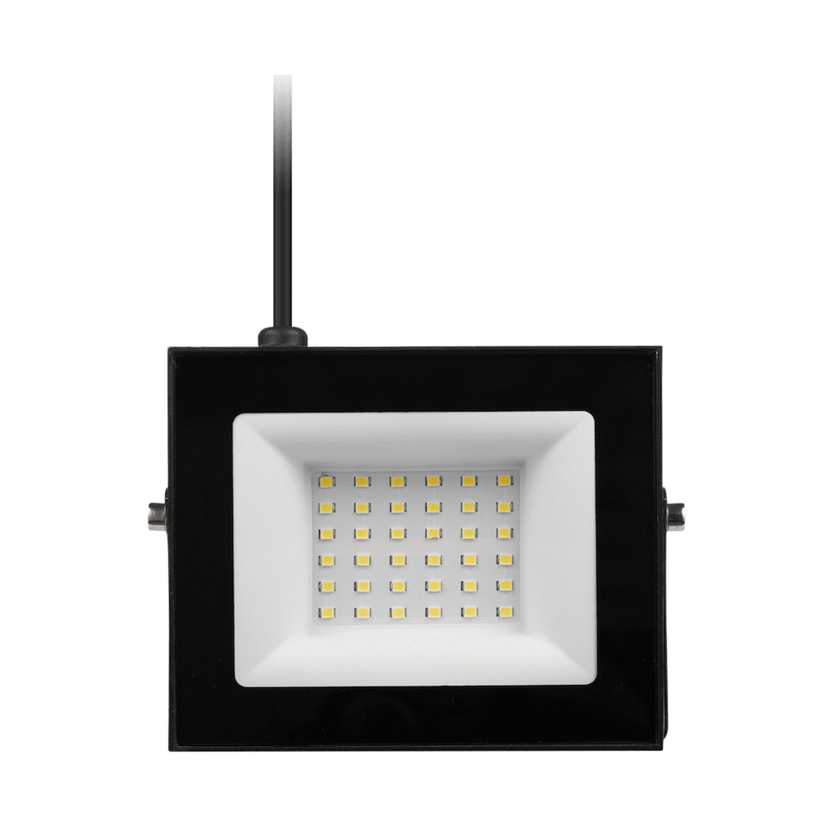 Switched 30w LED Flood Light
