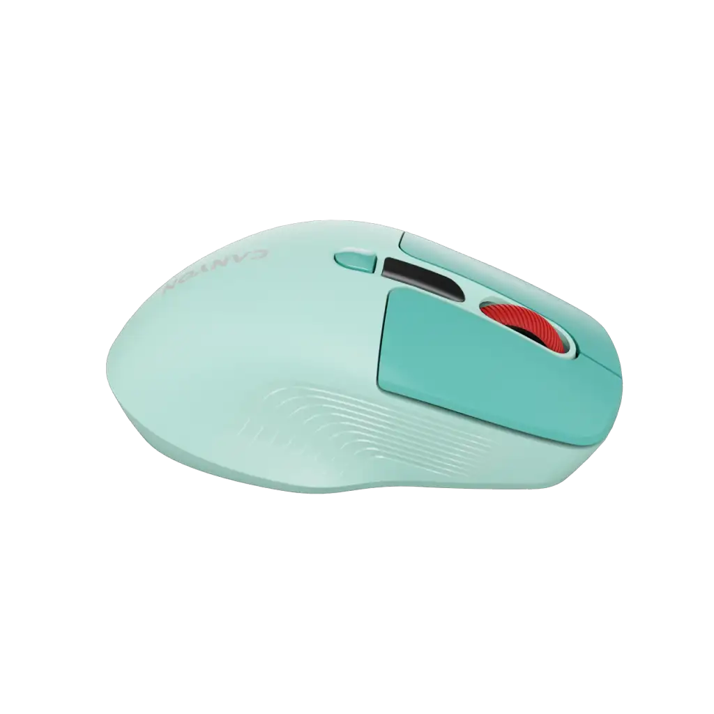 CANYON mouse MW-26 LCD Silent Dual Mode Wireless Green CNS-CMSW26GR