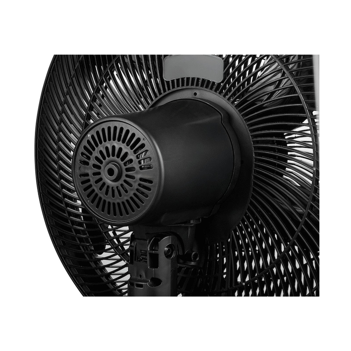 Eiger 2-in-1 Pedestal fan - Black