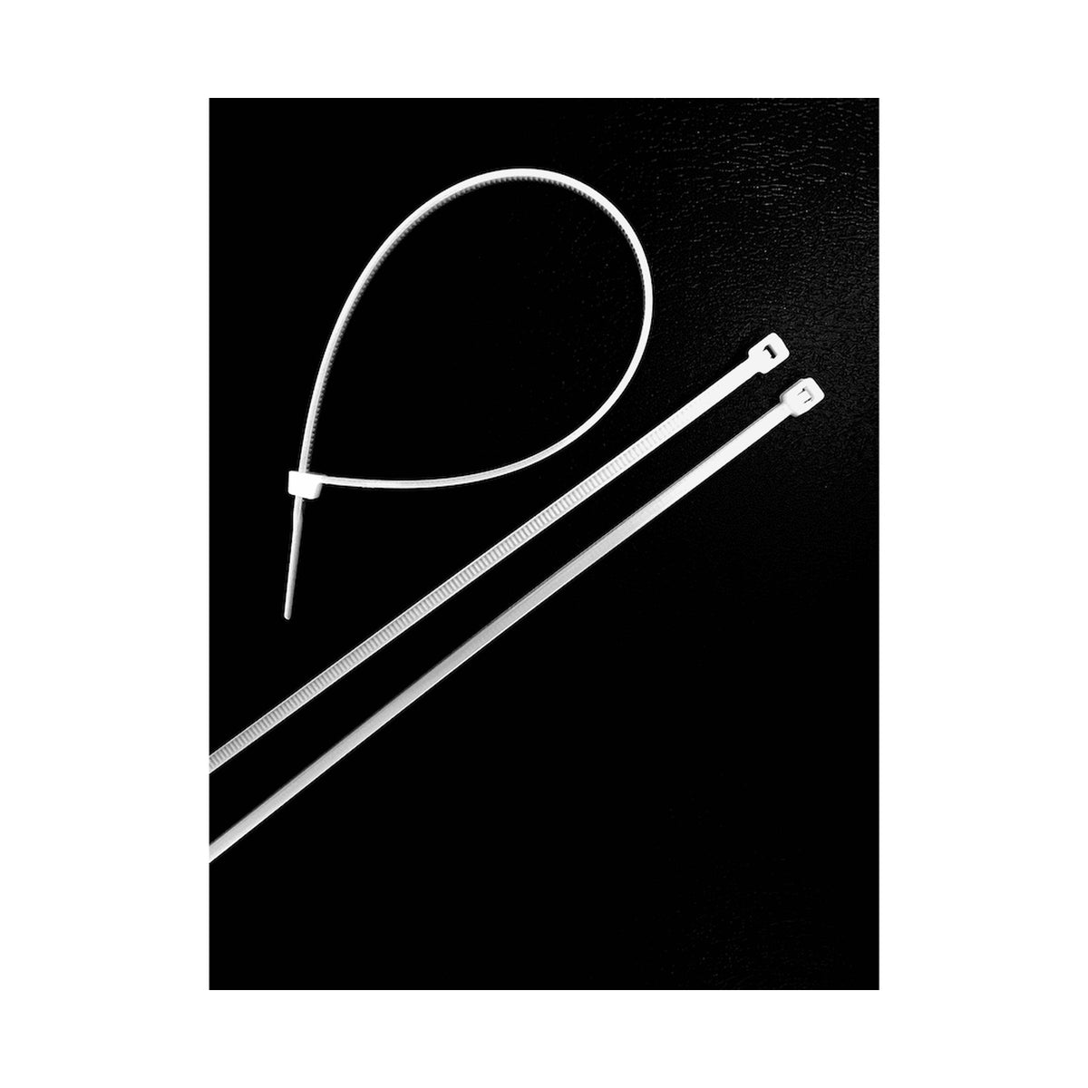 Ellies Cable Tie 2.5mm X 100mm - 50 PACK SIZE - WT