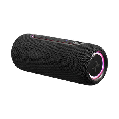 Gibson Clarke York Series True Wireless Bluetooth Speaker (Black)