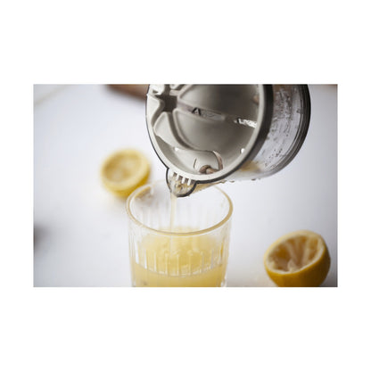 Kitchen Inspire Dual Juicer