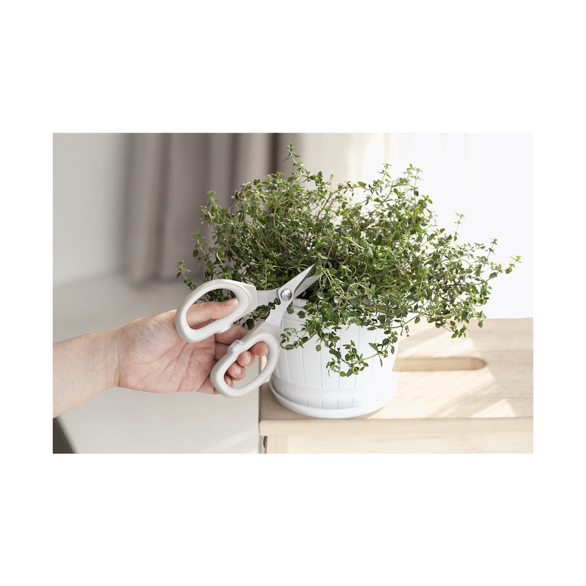Kitchen Inspire Kitchen Scissors Small