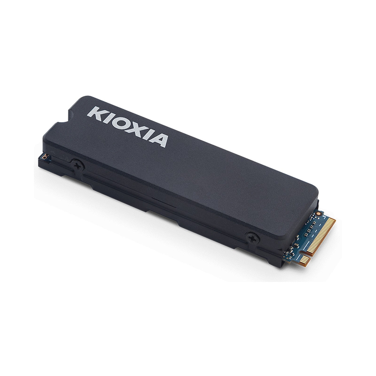 KIOXIA EXCERIA Heatsink NVMeTM Series, M.2 2280 1000GB