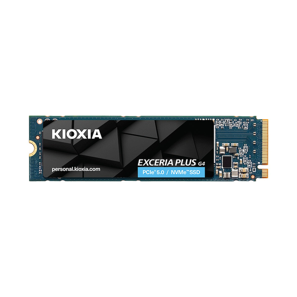 KIOXIA EXCERIA PLUS G4 NVMeTM Series, M.2 2280 1000GB