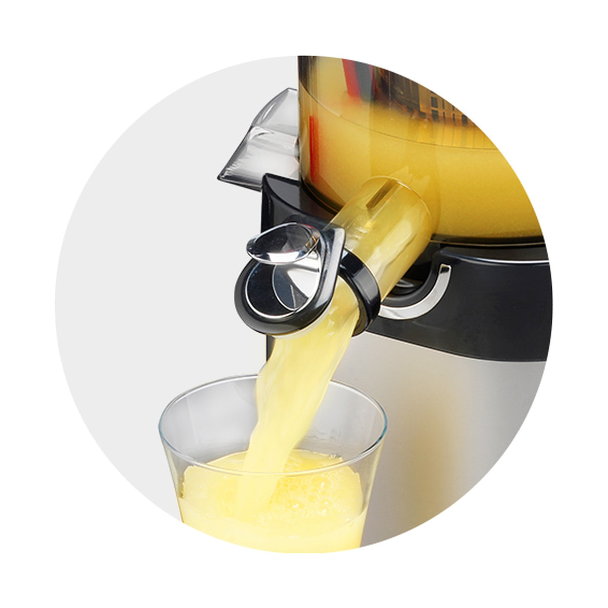 Kuvings CS600 Commercial Slow Juicer