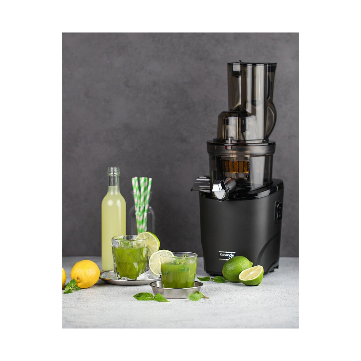 Kuvings REVO830 Light Silver Whole Slow Juicers