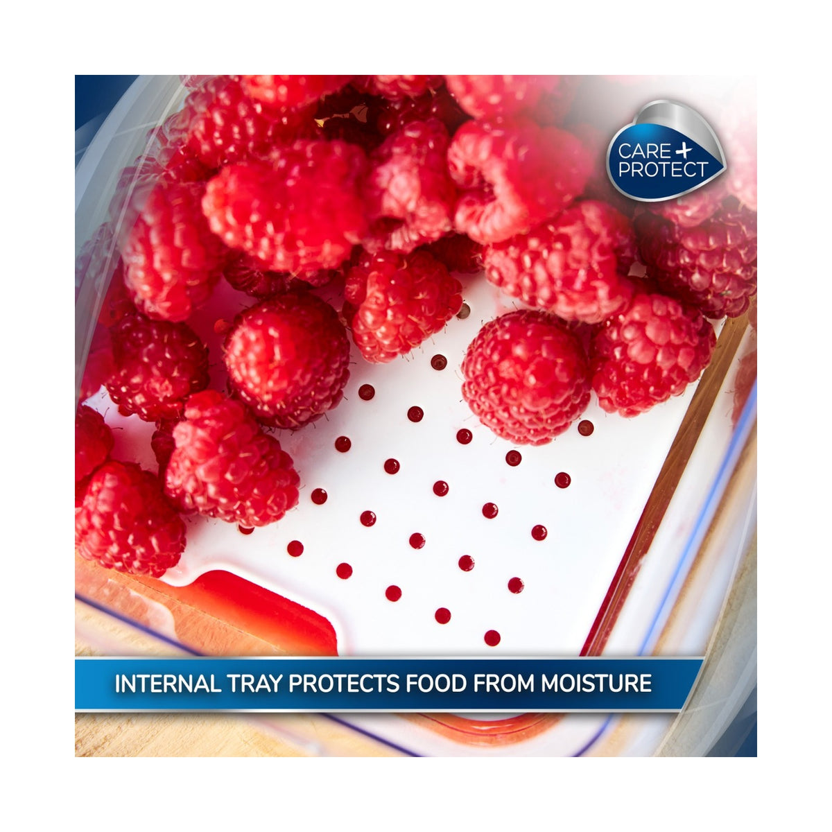 Care + Protect 2,6L Food Container & Fridge Organizer