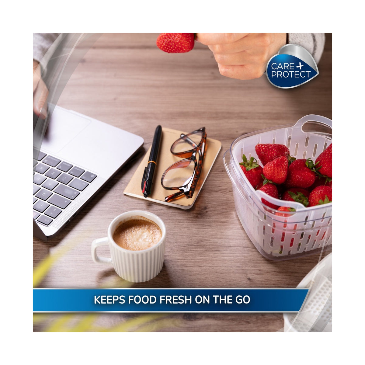 Care + Protect 1,6L Food Container & Fridge Organizer 