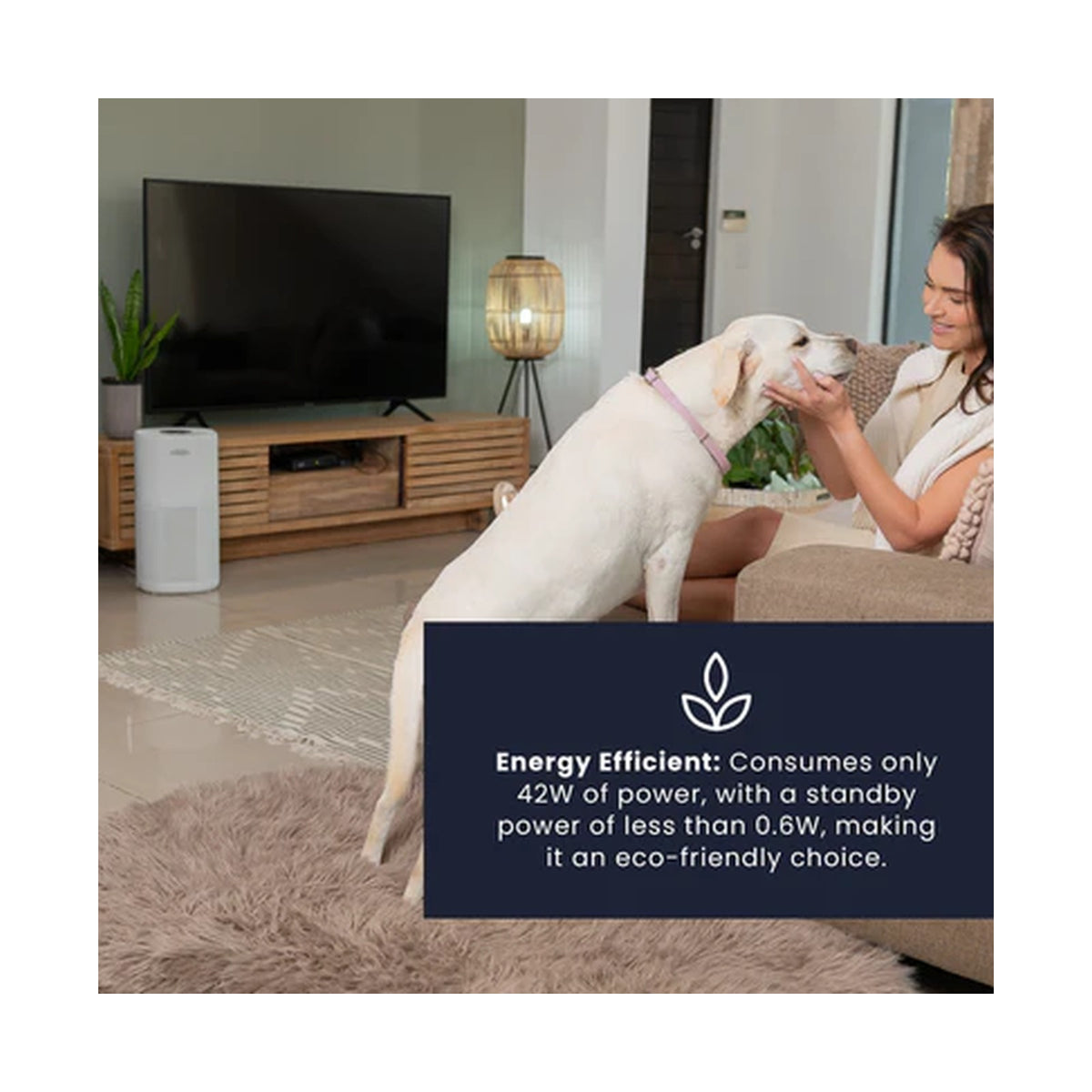 Solenco 803 Air Purifier - Thuza  SOL803AP