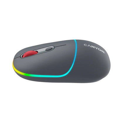CANYON mouse MW-22 2in1 BT/ Wireless Dark Grey CNS-CMSW22DG