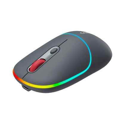 CANYON mouse MW-22 2in1 BT/ Wireless Dark Grey CNS-CMSW22DG