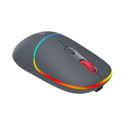 CANYON mouse MW-22 2in1 BT/ Wireless Dark Grey CNS-CMSW22DG