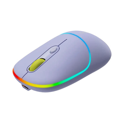 CANYON mouse MW-22 2in1 BT/ Wireless Lavender CNS-CMSW22ML