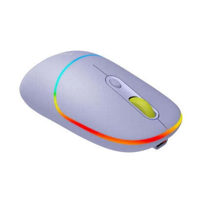 CANYON mouse MW-22 2in1 BT/ Wireless Lavender CNS-CMSW22ML