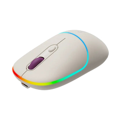 CANYON mouse MW-22 2in1 BT/ Wireless Rice CNS-CMSW22RC