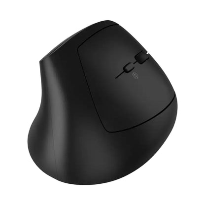 CANYON mouse MW-25 Ergonomic LED AA Dual mode Wireless Black CNS-CMSW25