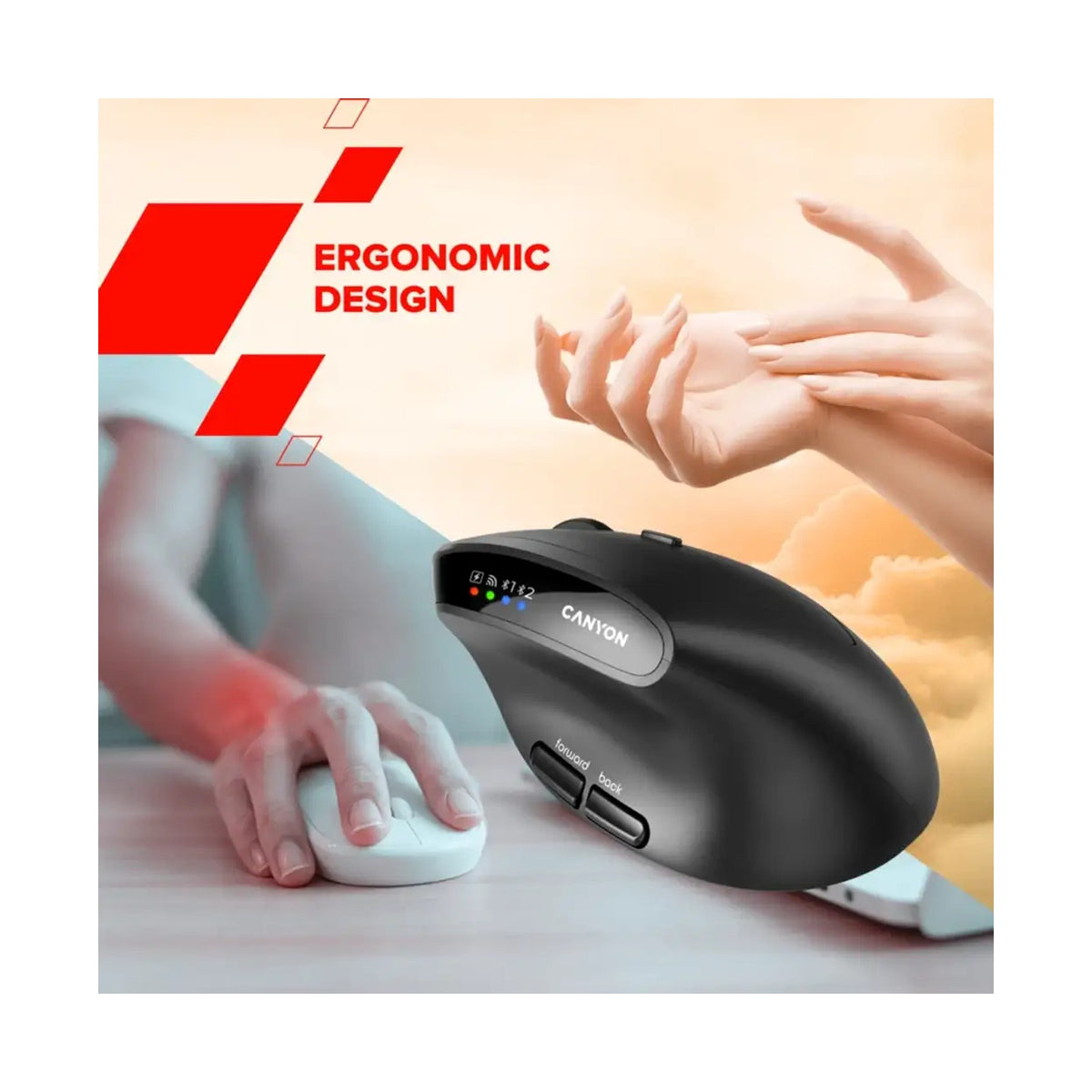 CANYON mouse MW-25 Ergonomic LED AA Dual mode Wireless Black CNS-CMSW25