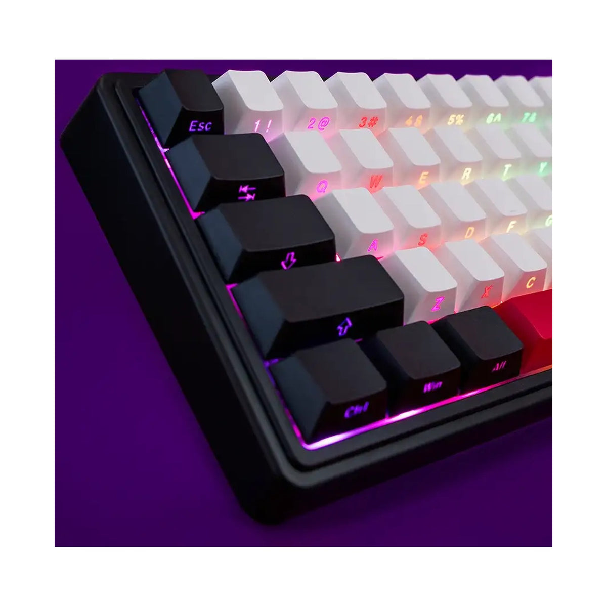 LORGAR KBP70MW Wireless Mechanical Gaming Keyboard Pro Black/red LRG-KBP70MW-BK-US