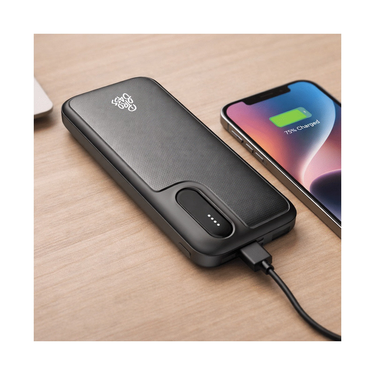 Pro Bass ChargeMax Series 10000mah Power Bank