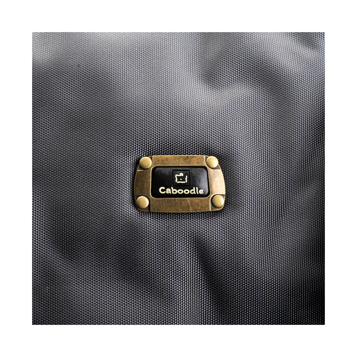 CB2C - CABOODLE SMART & SASSY