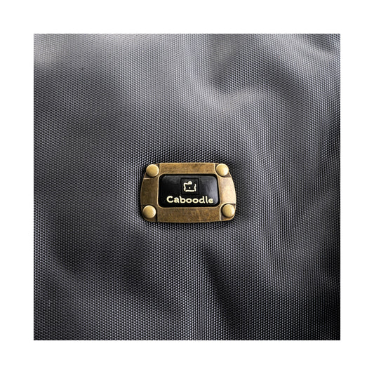 CB2C - CABOODLE SMART & SASSY