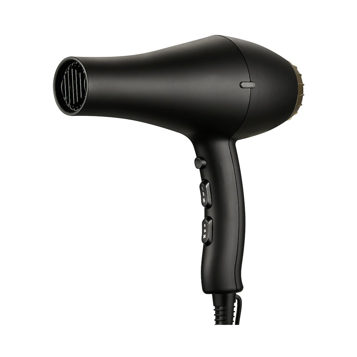 Carmen Ebony AC Motor Hair Dryer