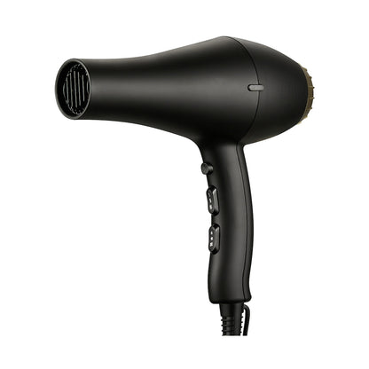 Carmen Ebony AC Motor Hair Dryer