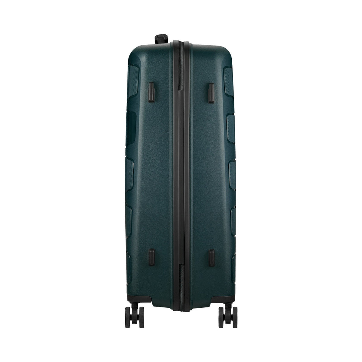 Travelwize Tourer PP 65cm 4-wheel Spinner Luggage Petrol
