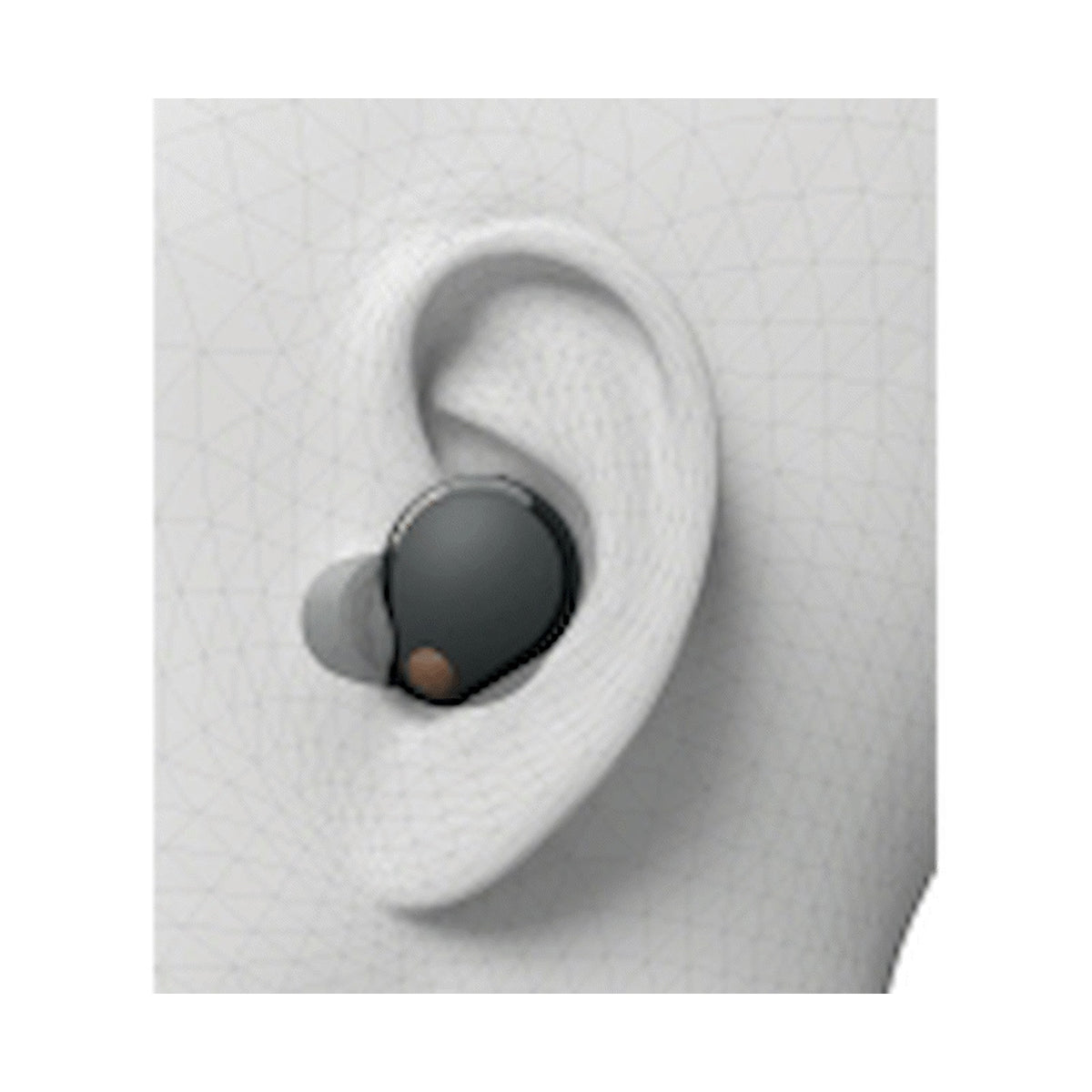 Sony WF-1000XM5 (Black) Premium TWS Earphones
