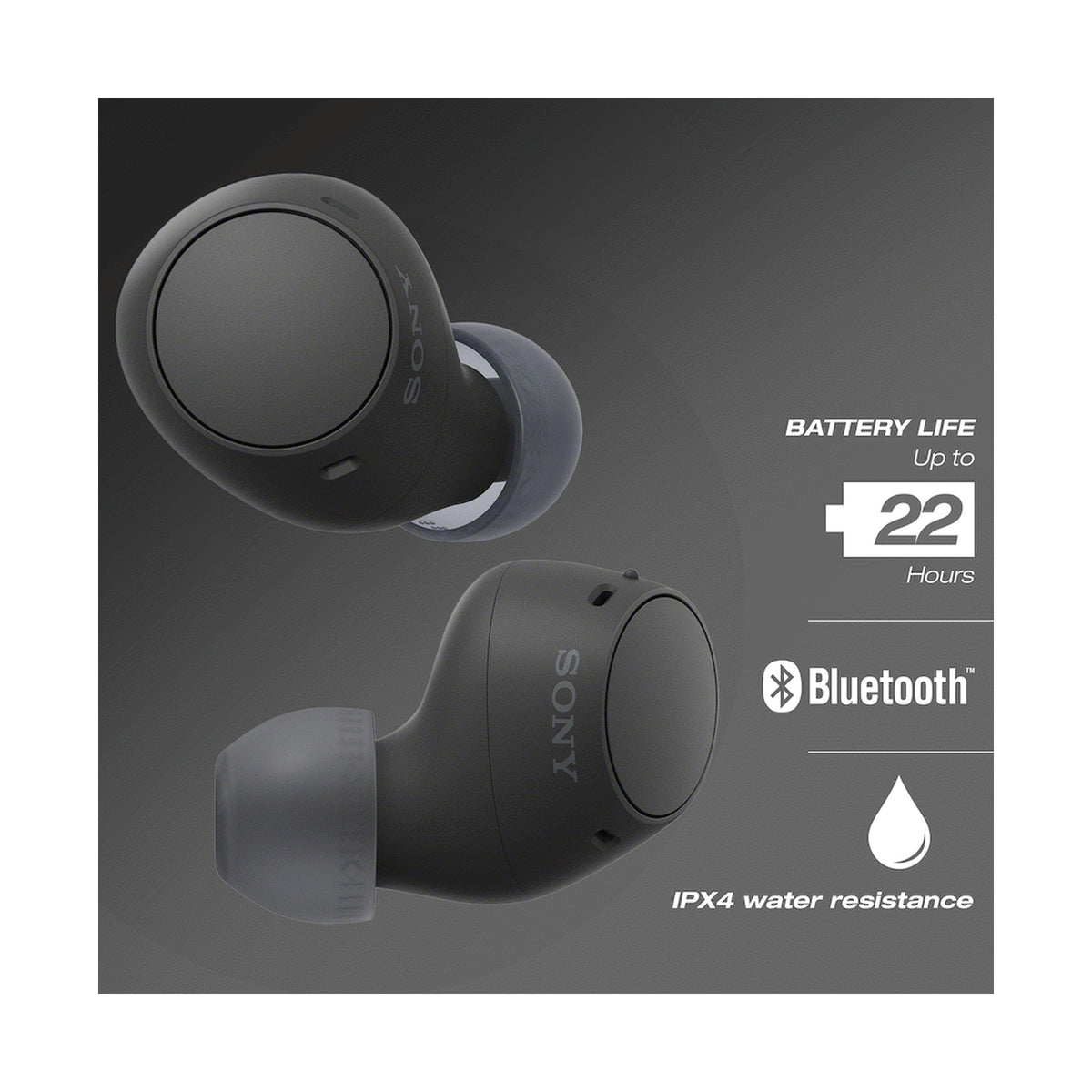 Sony C510 TWS Black