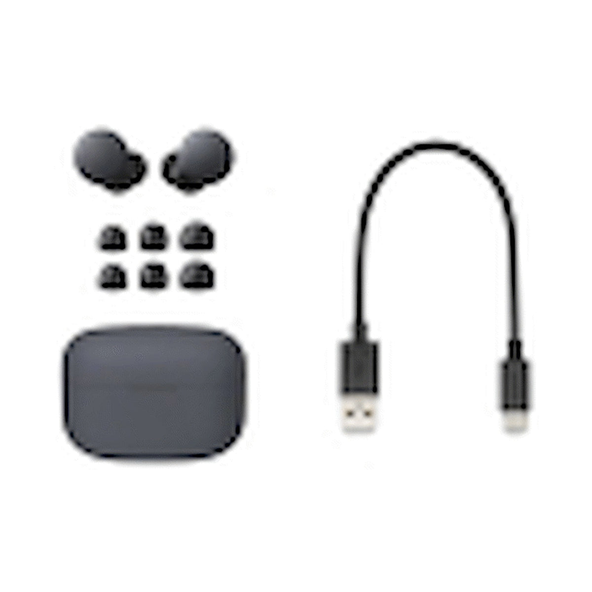 Sony LinkBuds S (Black) Noise Cancelling TWS Earphones
